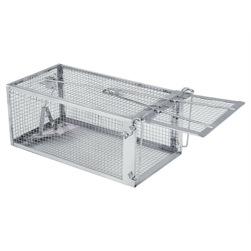 USA Mouse Trap Rat Trap Rodent Trap Live Catch Cage, Easy to Set Up and Reuse - WildWood Apothecary and More