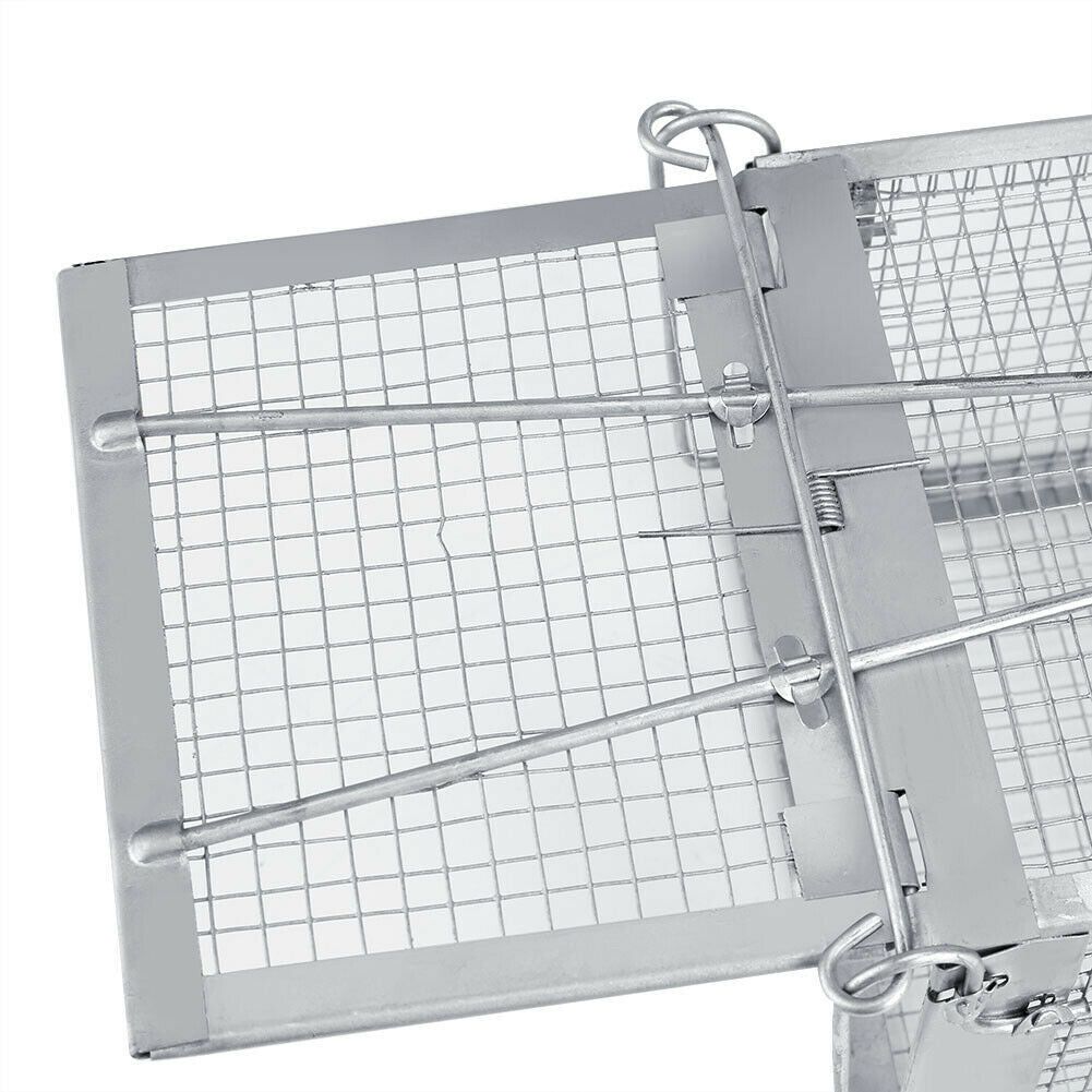 USA Mouse Trap Rat Trap Rodent Trap Live Catch Cage, Easy to Set Up and Reuse - WildWood Apothecary and More