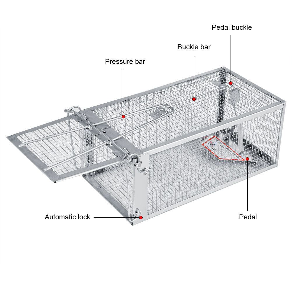 USA Mouse Trap Rat Trap Rodent Trap Live Catch Cage, Easy to Set Up and Reuse - WildWood Apothecary and More