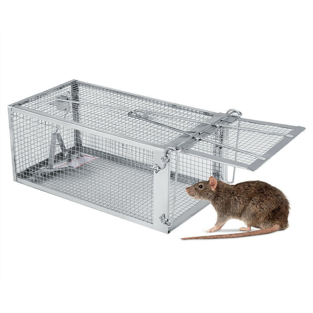 USA Mouse Trap Rat Trap Rodent Trap Live Catch Cage, Easy to Set Up and Reuse - WildWood Apothecary and More