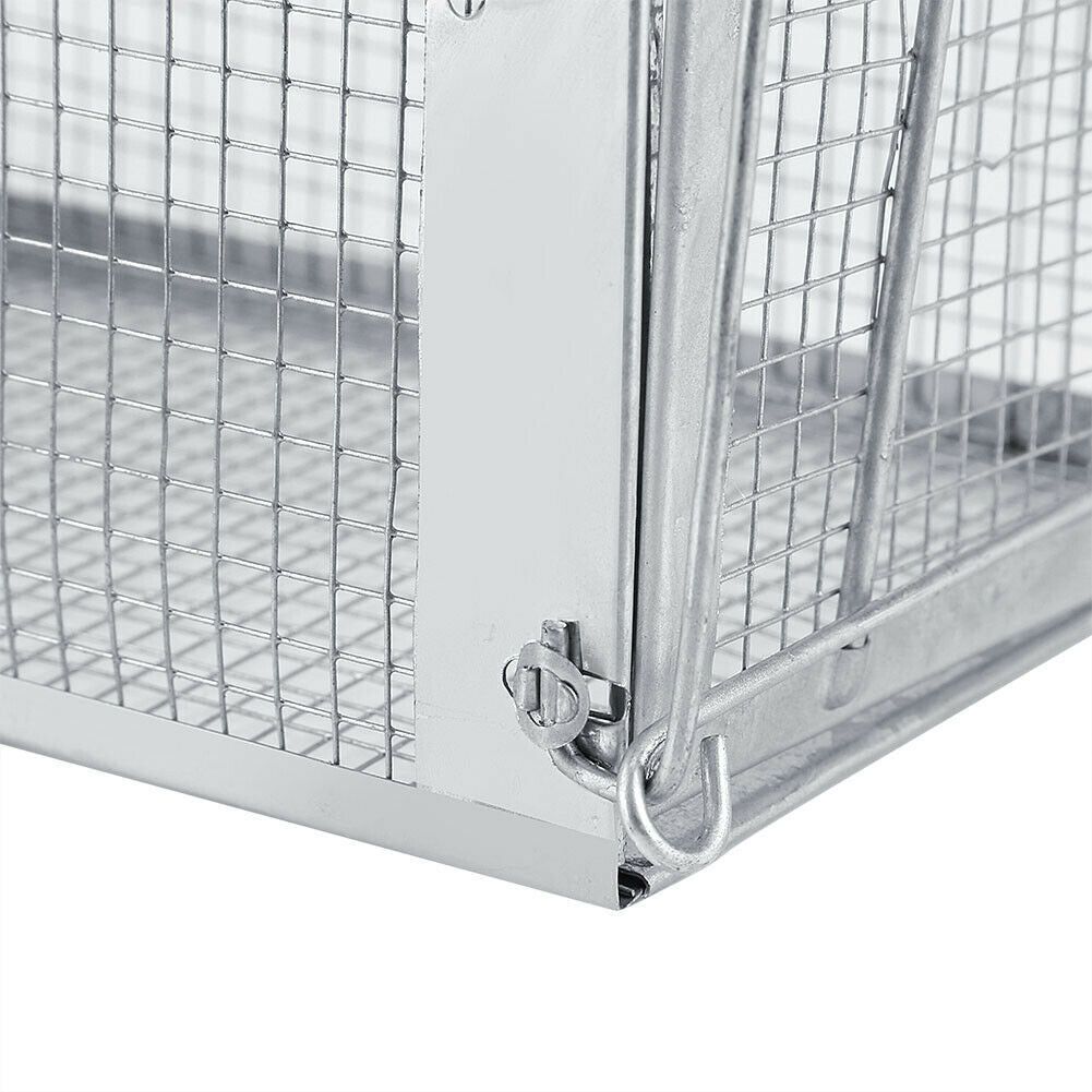 USA Mouse Trap Rat Trap Rodent Trap Live Catch Cage, Easy to Set Up and Reuse - WildWood Apothecary and More