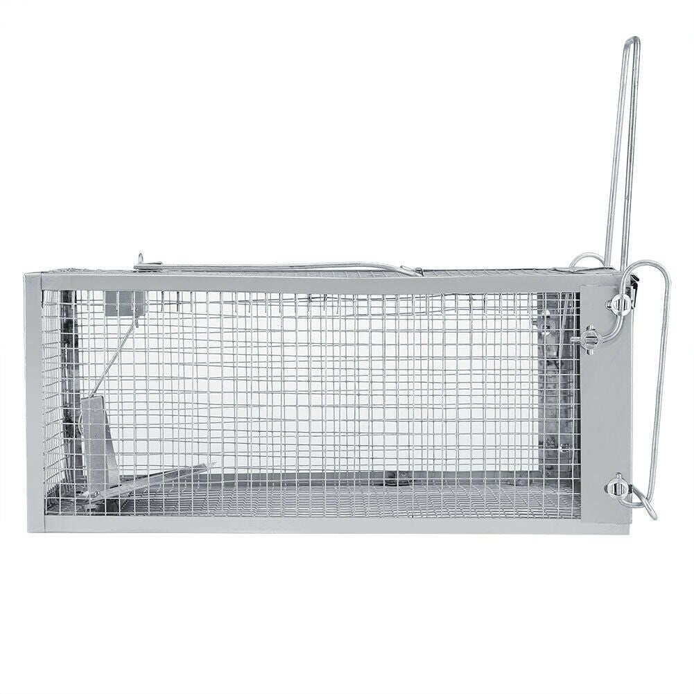 USA Mouse Trap Rat Trap Rodent Trap Live Catch Cage, Easy to Set Up and Reuse - WildWood Apothecary and More