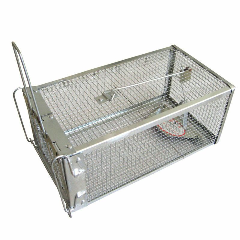 USA Mouse Trap Rat Trap Rodent Trap Live Catch Cage, Easy to Set Up and Reuse - WildWood Apothecary and More