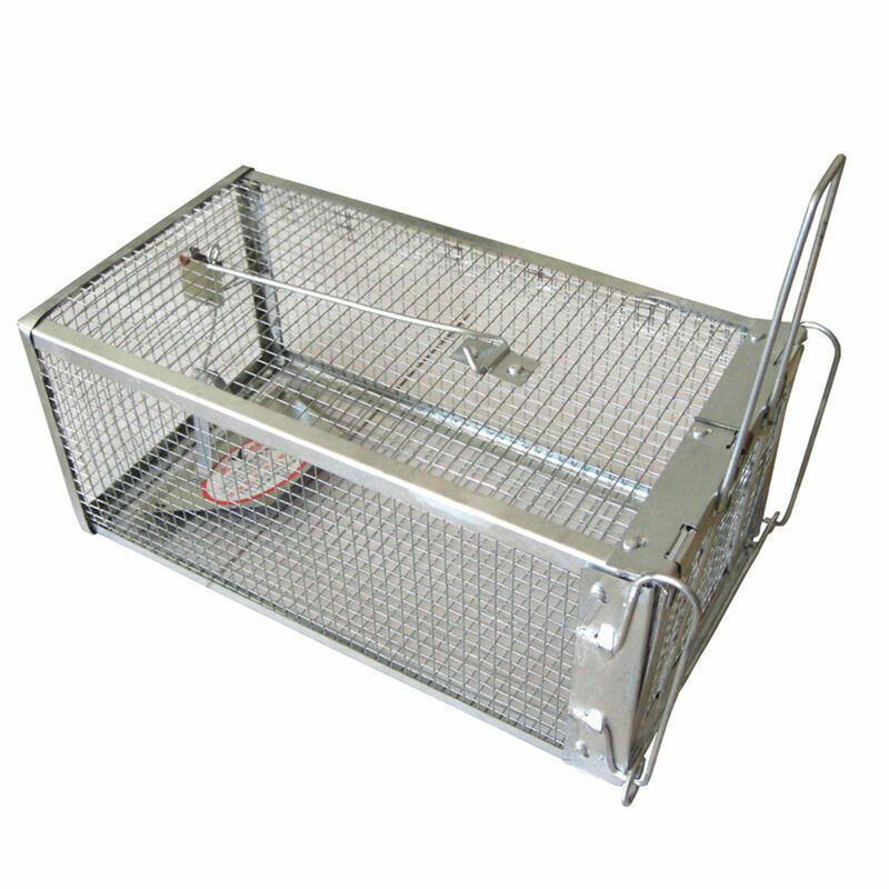 USA Mouse Trap Rat Trap Rodent Trap Live Catch Cage, Easy to Set Up and Reuse - WildWood Apothecary and More