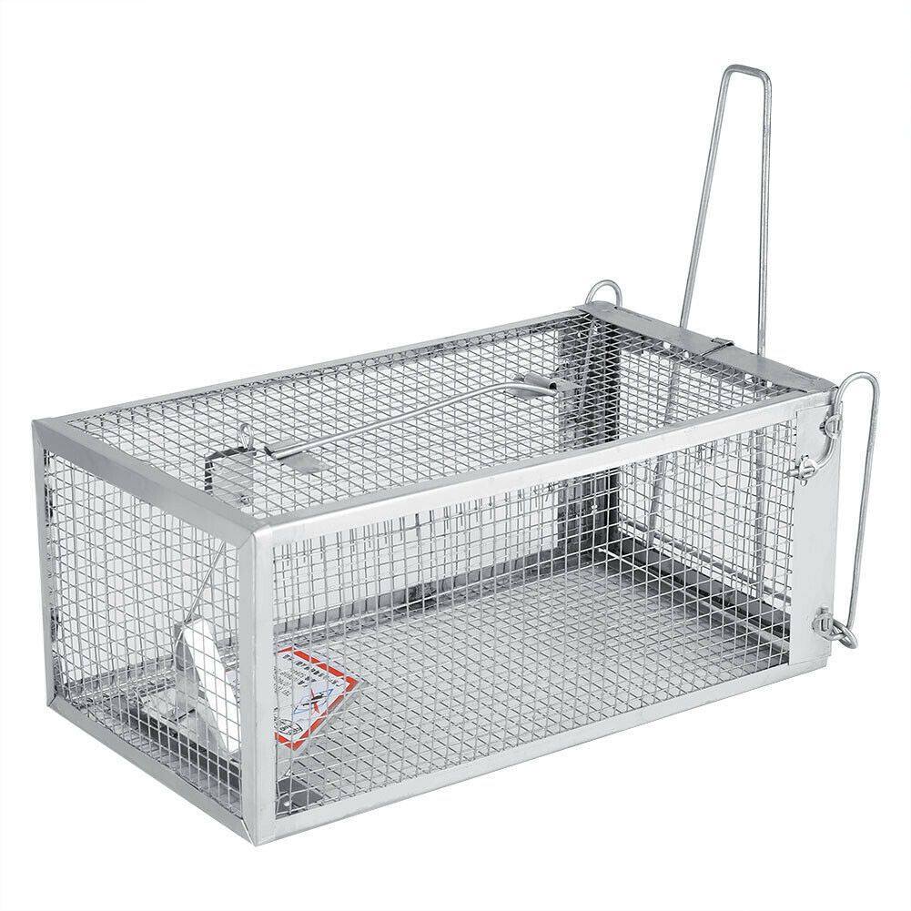 USA Mouse Trap Rat Trap Rodent Trap Live Catch Cage, Easy to Set Up and Reuse - WildWood Apothecary and More