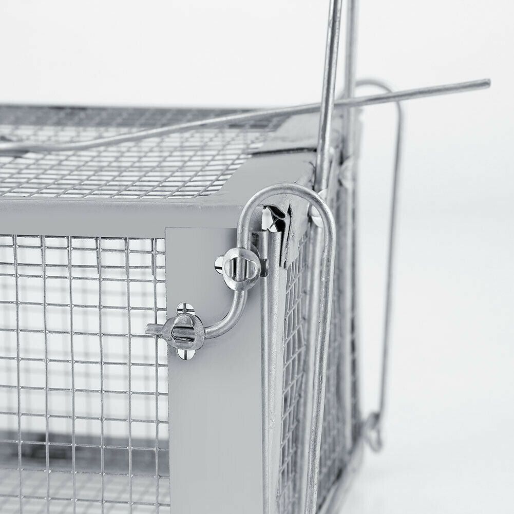 USA Mouse Trap Rat Trap Rodent Trap Live Catch Cage, Easy to Set Up and Reuse - WildWood Apothecary and More